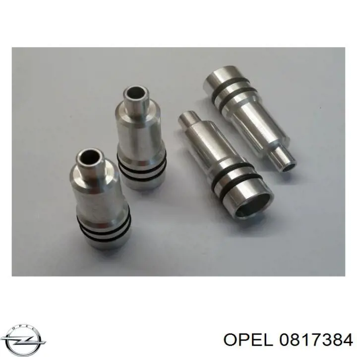 Compre BWPPL000 NTY Consola de fixação do injetor