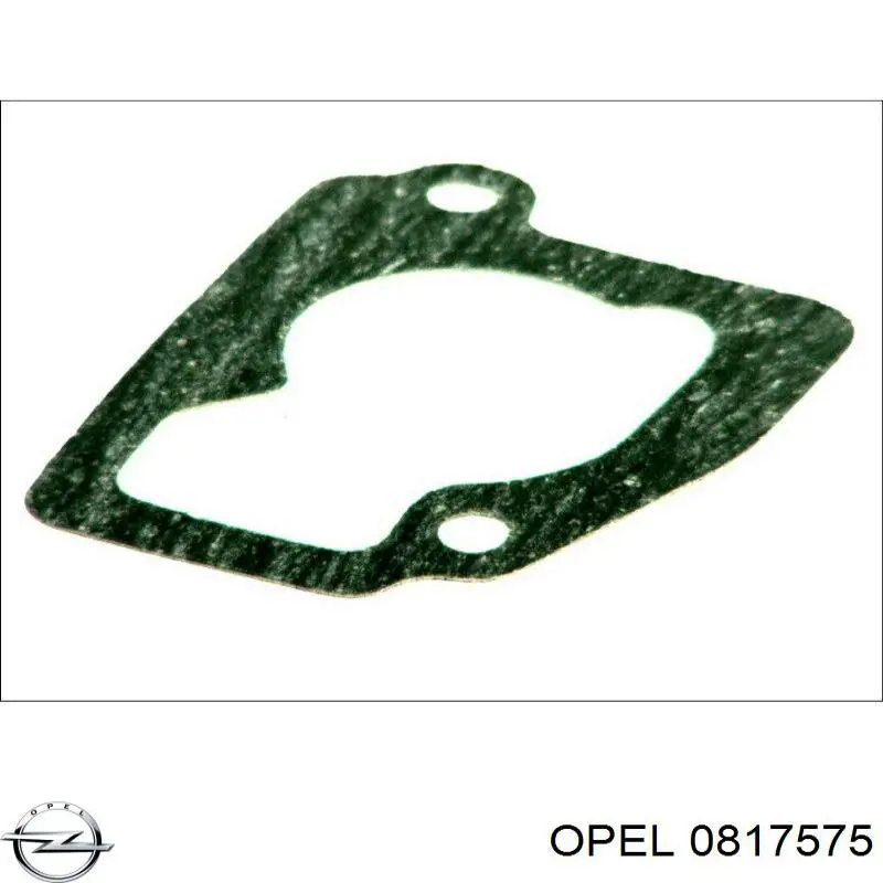 Compre 0817575 Opel Vedante de cabeça do injetor