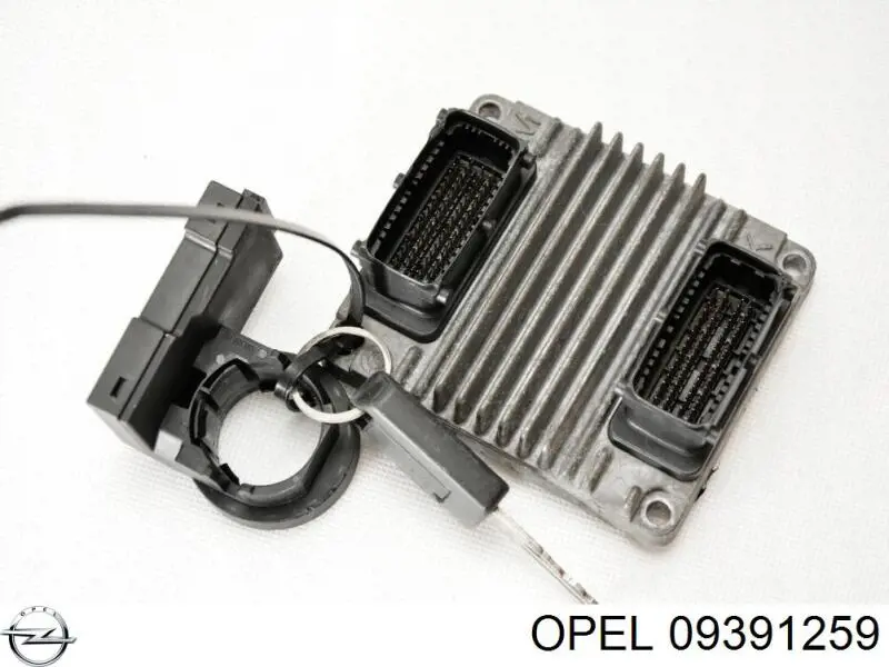 Compre 09391259 Opel 