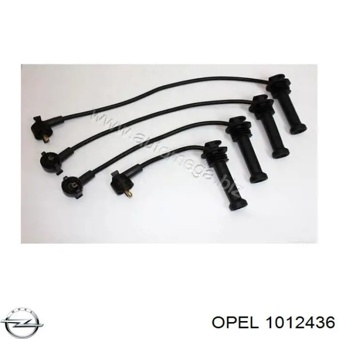 1012436 Opel 