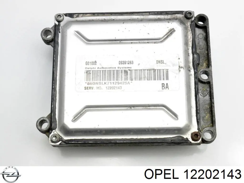 Módulo de direção (Centralina eletrônica) de motor 12202143 General Motors