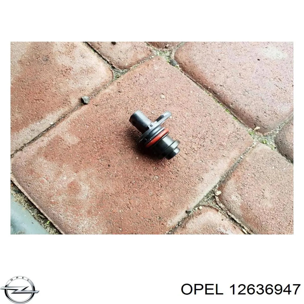 Sensor de posição da árvore distribuidora L6116121 Bogap