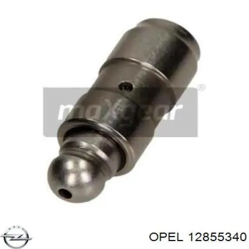 Compre 12855340 General Motors Compensador hidrâulico (empurrador hidrâulico), empurrador de válvulas