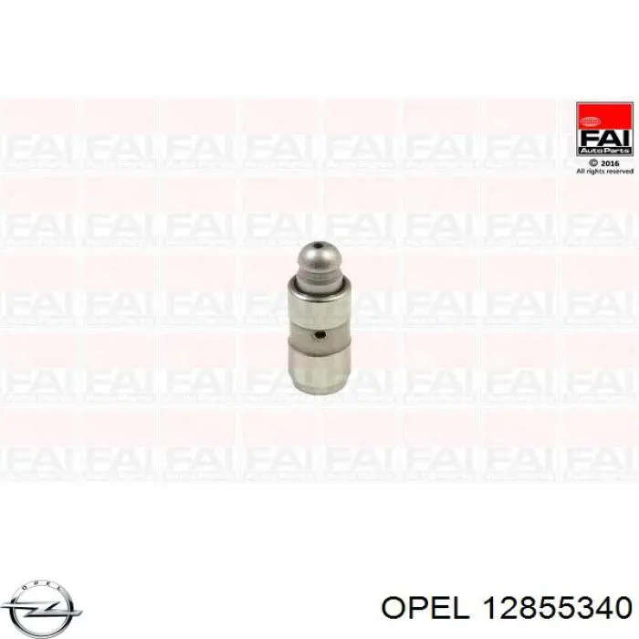 Compensador hidrâulico (empurrador hidrâulico), empurrador de válvulas General Motors 55569933 preço, a partir de 14,02 USD
