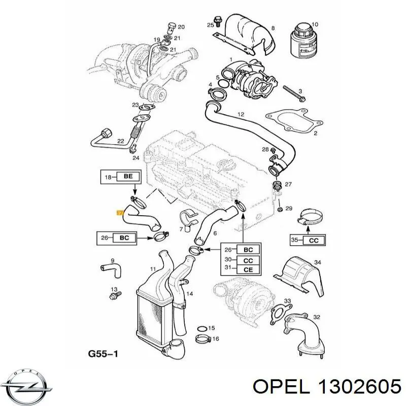 Compre 24451329 General Motors Mangueira (cano derivado) de intercooler