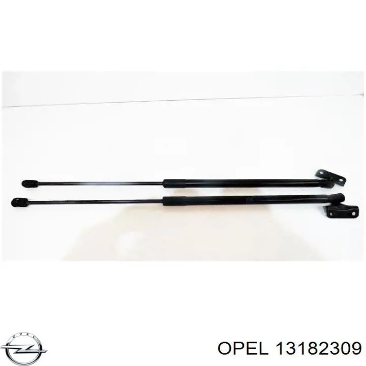 13182309 Opel Amortecedor de tampa de porta-malas (de 3ª/5ª porta traseira)