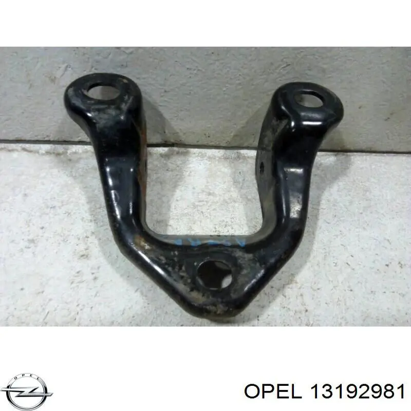 423546 Opel 