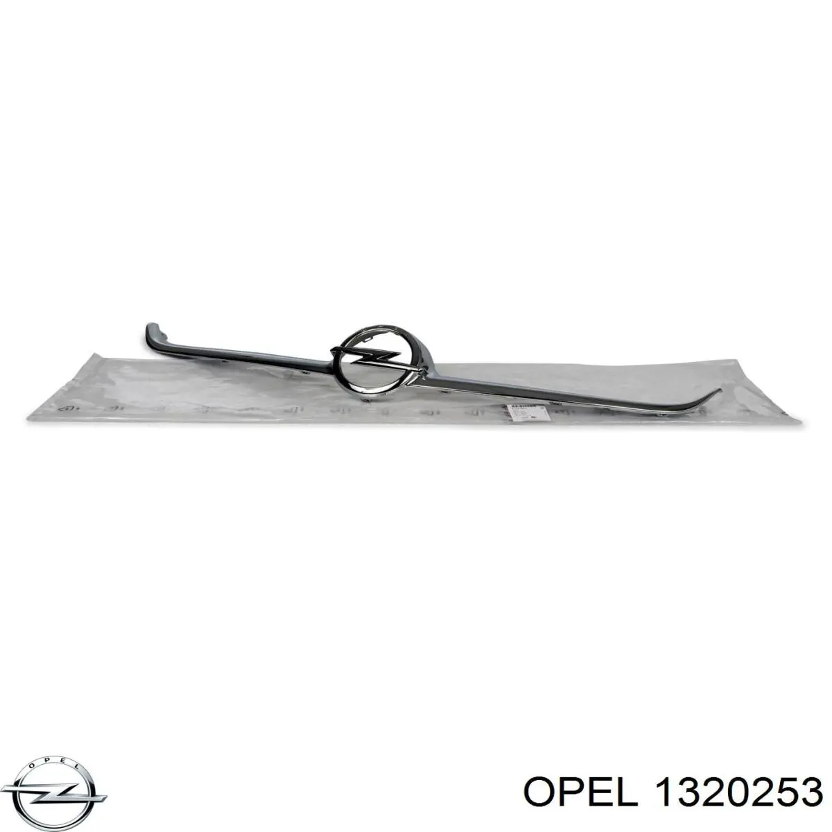 1320253 Opel Moldura de grelha do radiador