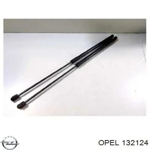 132124 Opel Amortecedor de tampa de porta-malas (de 3ª/5ª porta traseira)