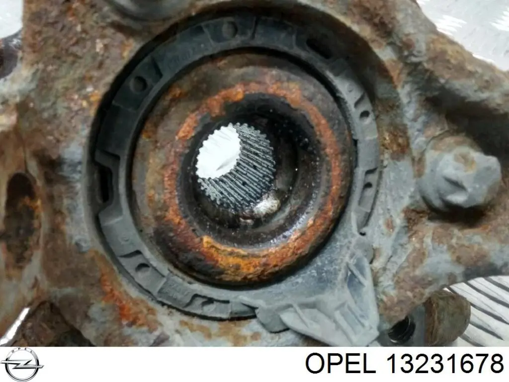 13231678 Opel Cubo dianteiro