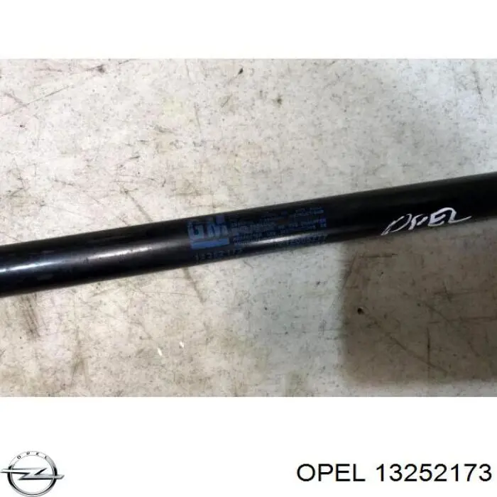 13252173 Opel Amortecedor da capota