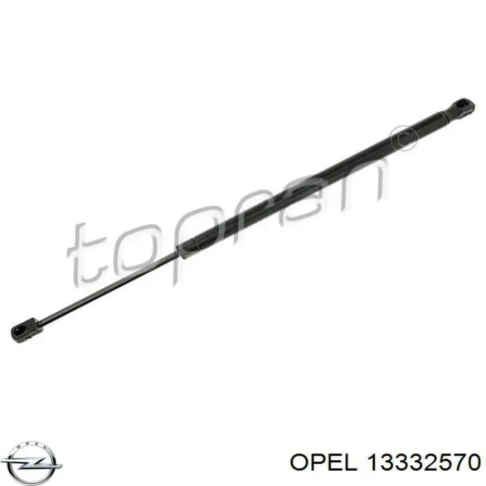 Amortecedor de tampa de porta-malas (de 3ª/5ª porta traseira) 13332570 General Motors
