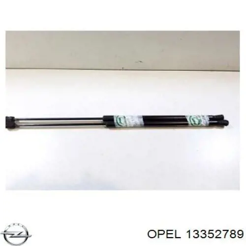 13352789 Opel Amortecedor de tampa de porta-malas (de 3ª/5ª porta traseira)