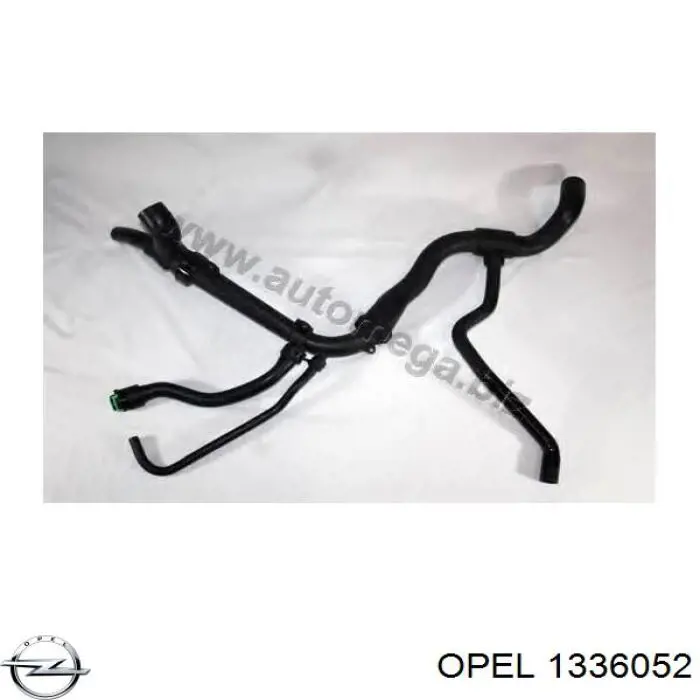 1336052 Opel Mangueira (cano derivado) inferior do radiador de esfriamento