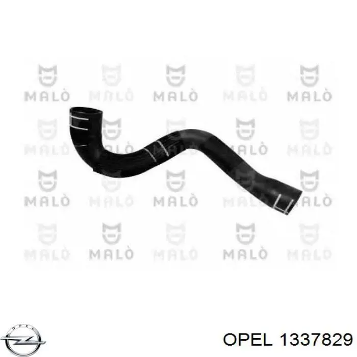 1337829 Opel Mangueira (cano derivado) do radiador de esfriamento superior