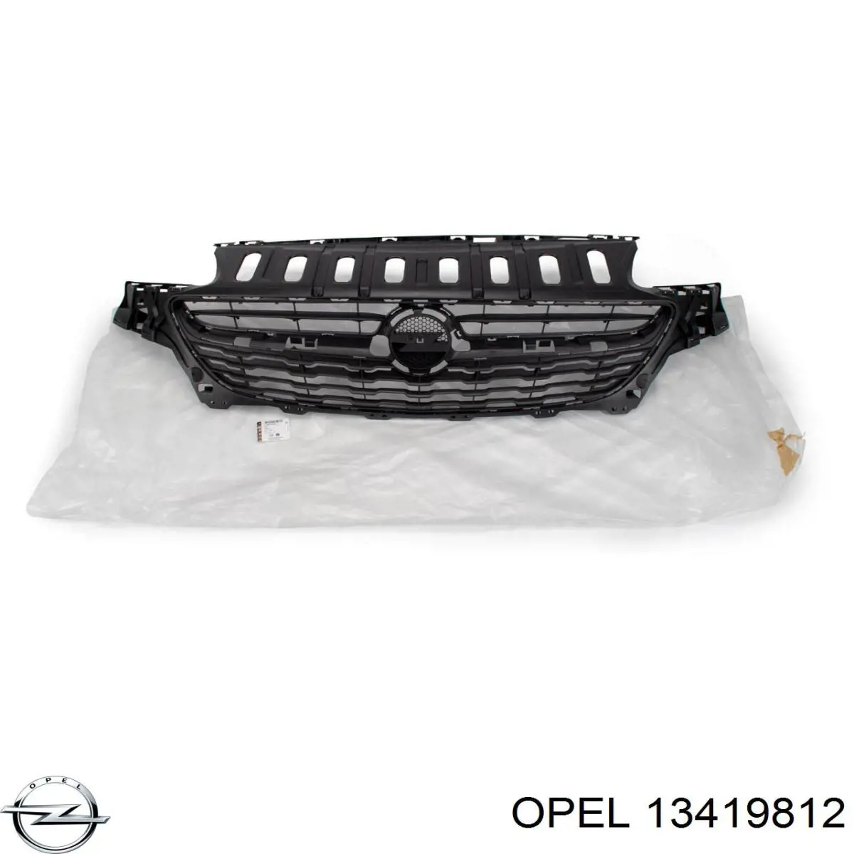 13419812 Opel Moldura de grelha do radiador