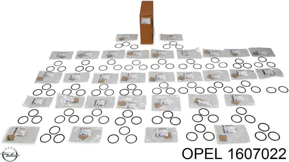 1607022 Opel 
