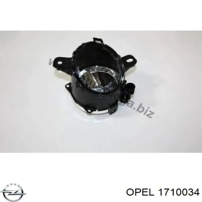 Compre 1710034 Opel Lanterna de nevoeiro traseira esquerda