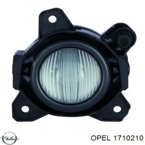 1710210 Opel Luzes de nevoeiro direitas