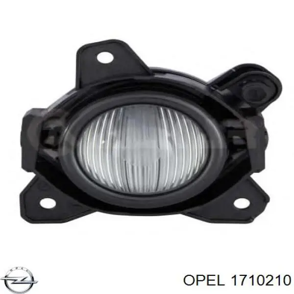 Luzes de nevoeiro direitas Opel 1710210 preço, a partir de 69,91 USD