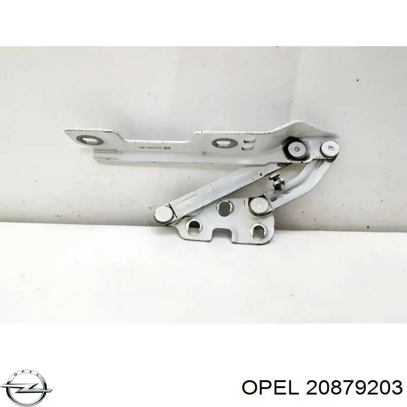 20879203 Opel Gozno da capota direito