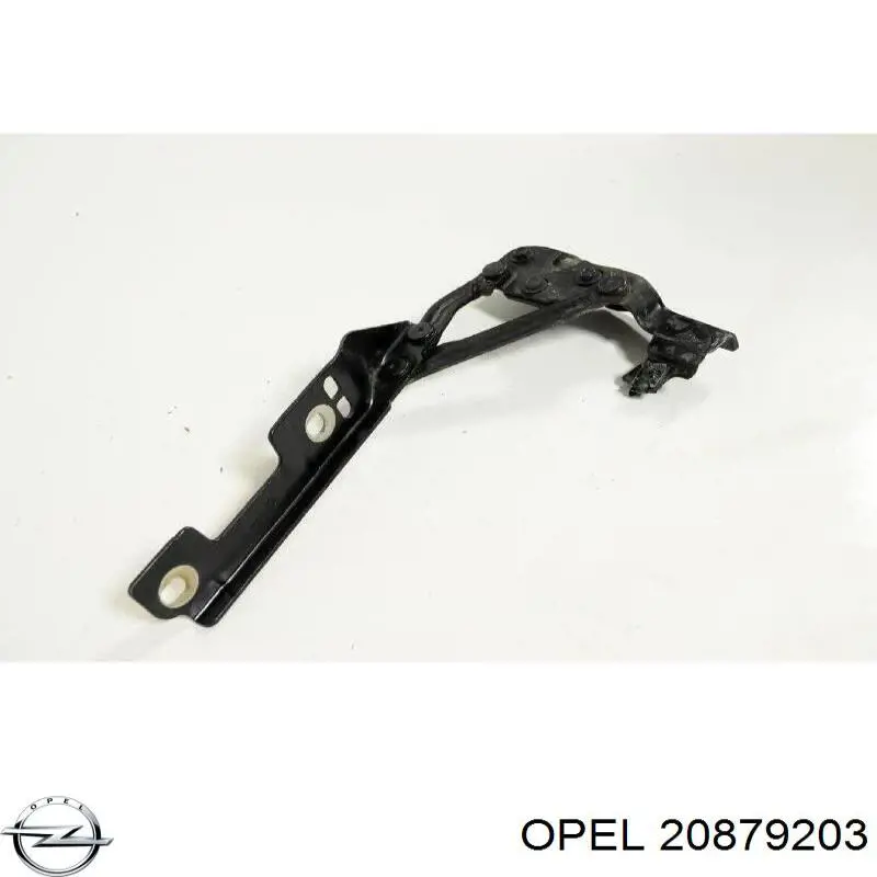 Compre 20879203 Opel Gozno da capota direito