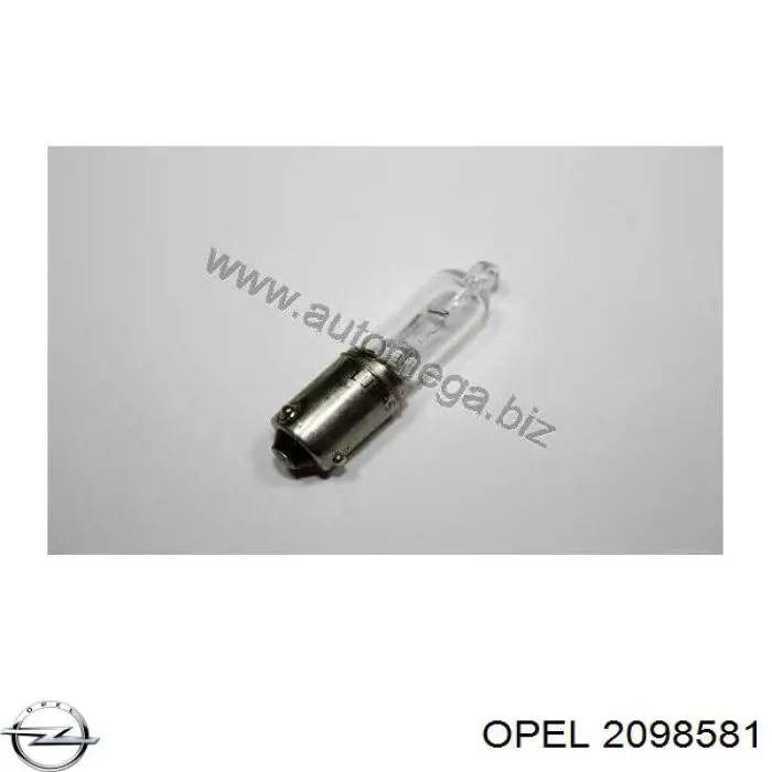 2098581 Opel Lâmpada