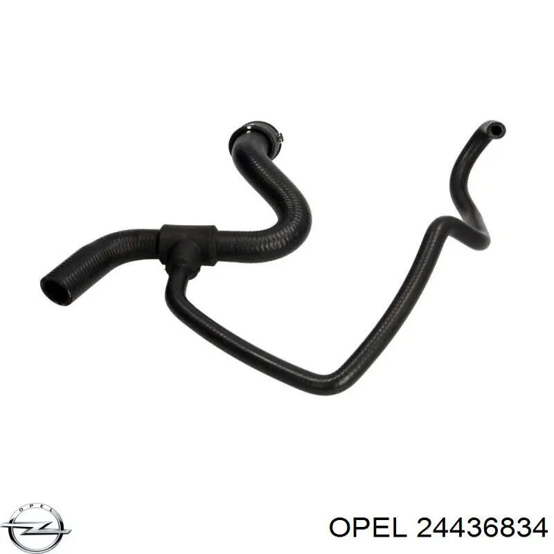 24436834 Opel Mangueira do radiador de aquecedor (de forno), fornecimento