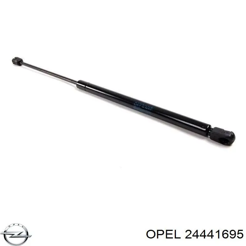 24441695 Opel Mangueira (cano derivado) inferior do radiador de esfriamento