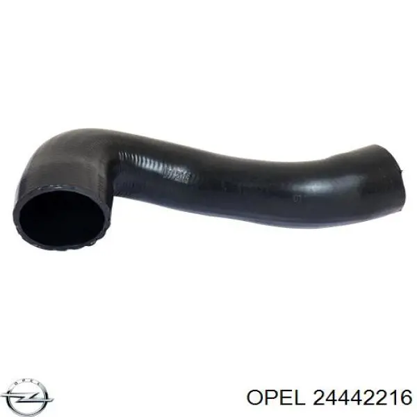 Mangueira (cano derivado) de intercooler Opel 24442216 preço, a partir de 18,89 USD