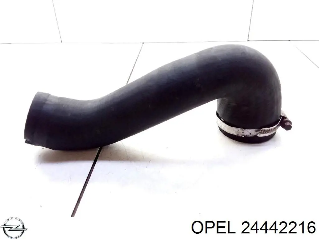 Compre 24442216 Opel Mangueira (cano derivado) de intercooler