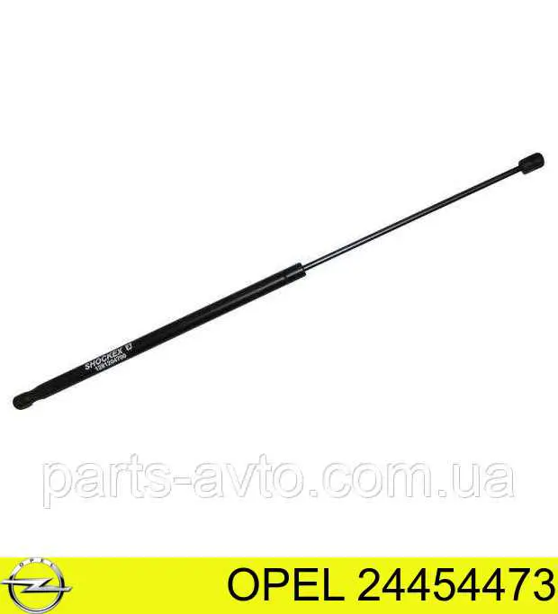 Compre 24454473 Opel Amortecedor da capota