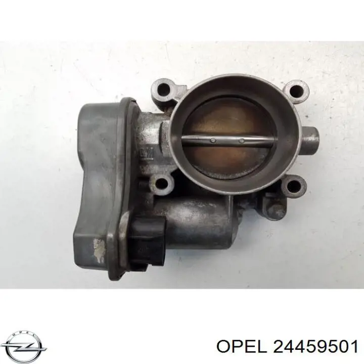 24459501 Opel Válvula de borboleta montada