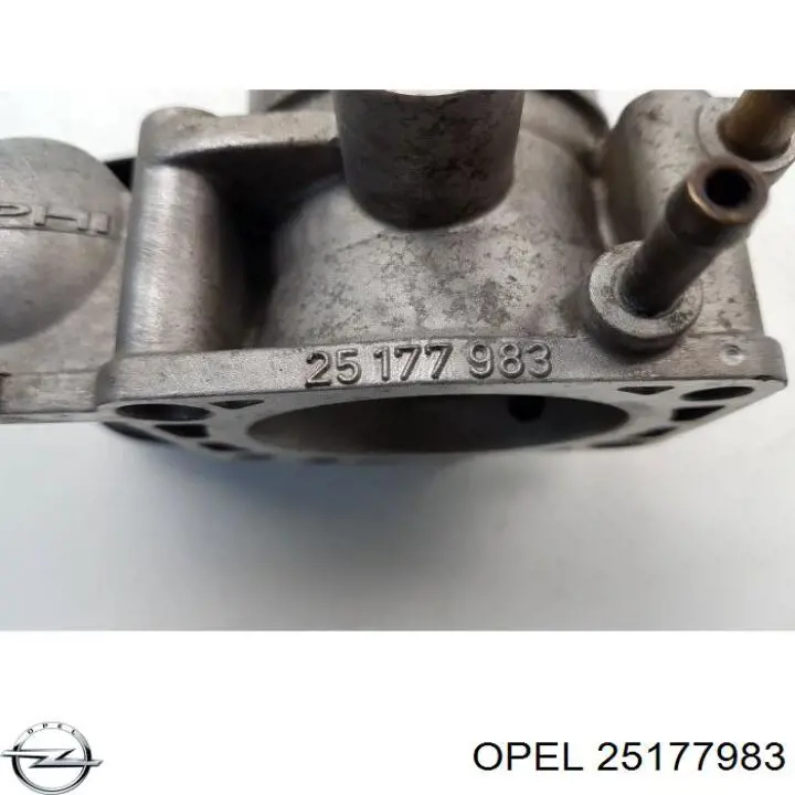 Válvula de borboleta montada Opel 25177983 preço, a partir de 57,89 USD