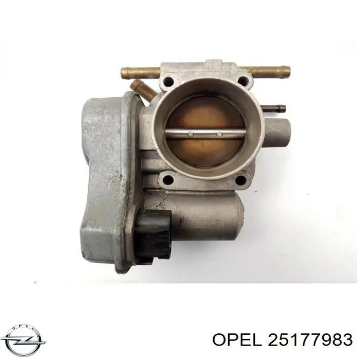 25177983 Opel Válvula de borboleta montada