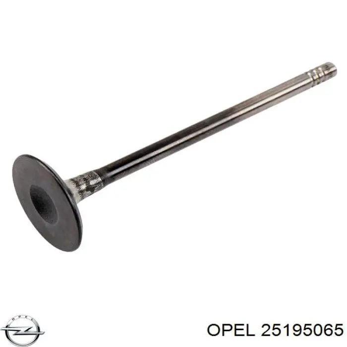 Pistão do kit para 1 cilindro, STD General Motors 55580179 preço, a partir de 83,00 USD