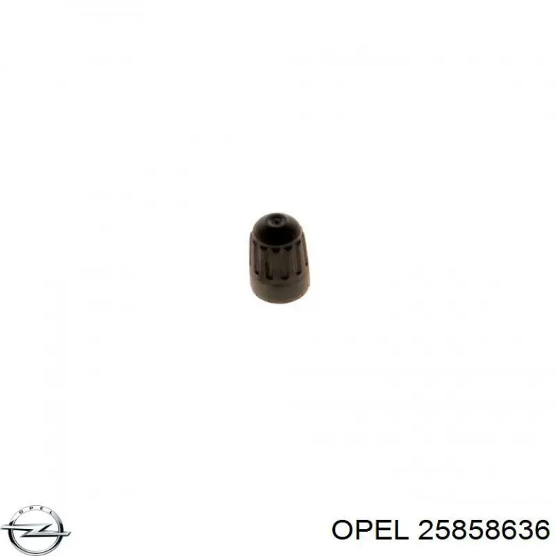 4817318 Opel Calota de bocal de rodas