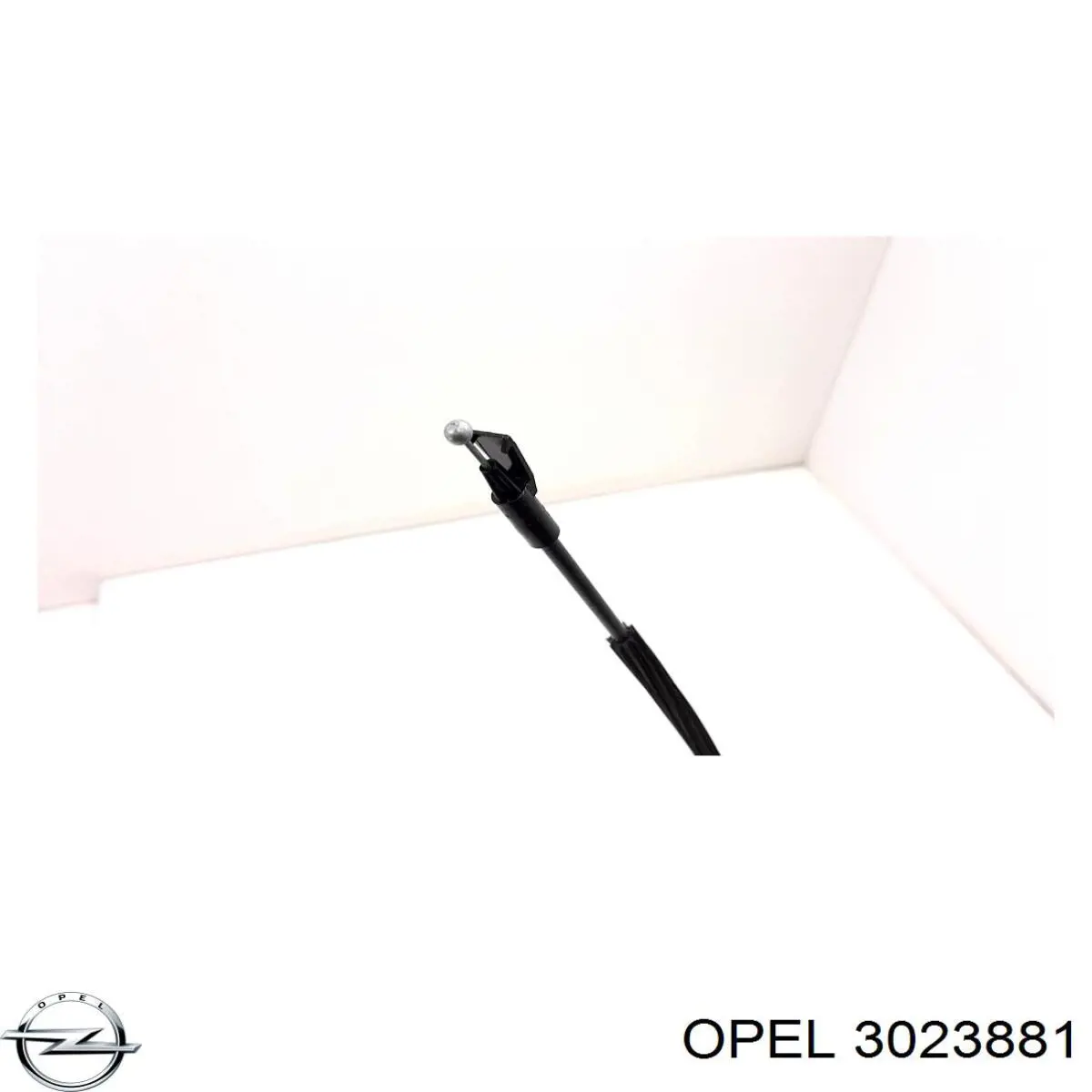 3023881 Opel 