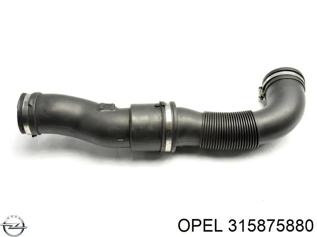  Opel 315875880