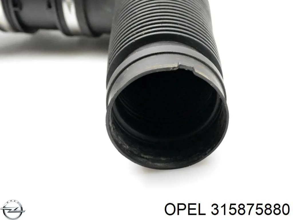  315875880 Opel