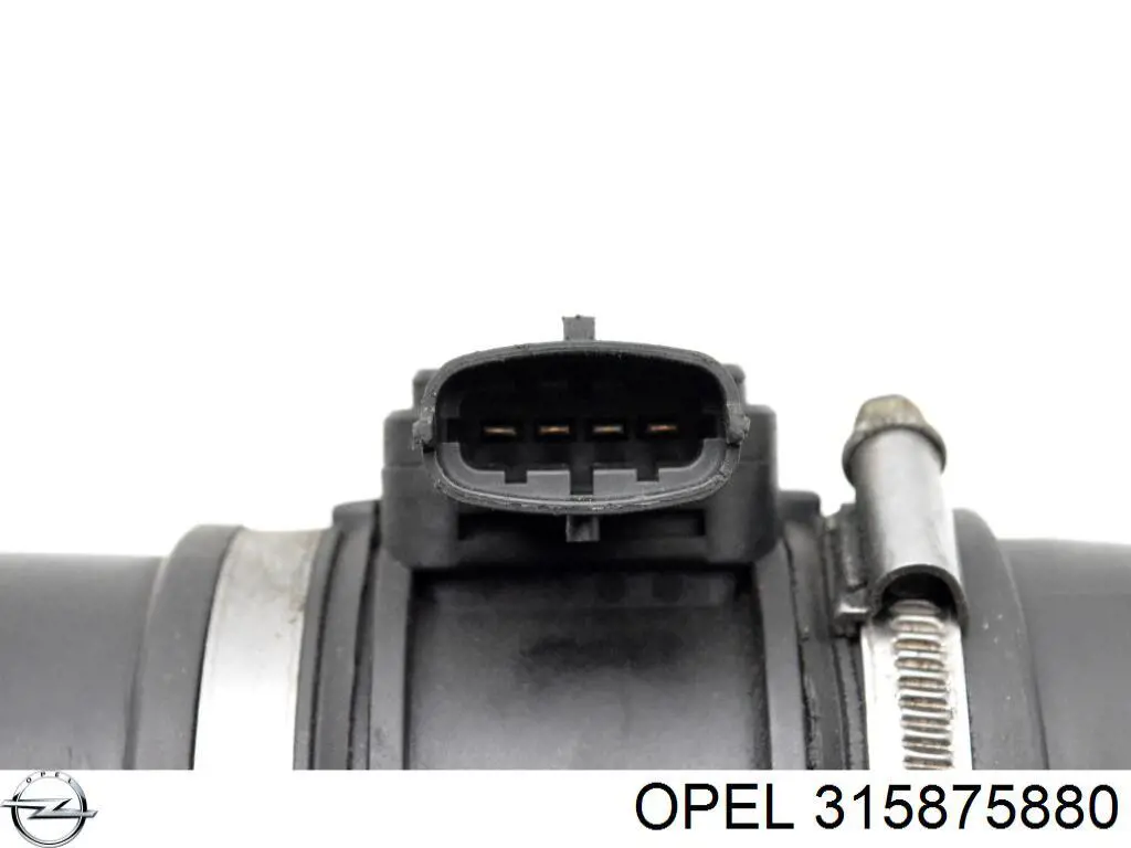 315875880 Opel 