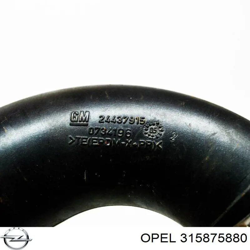 Compre 315875880 Opel 