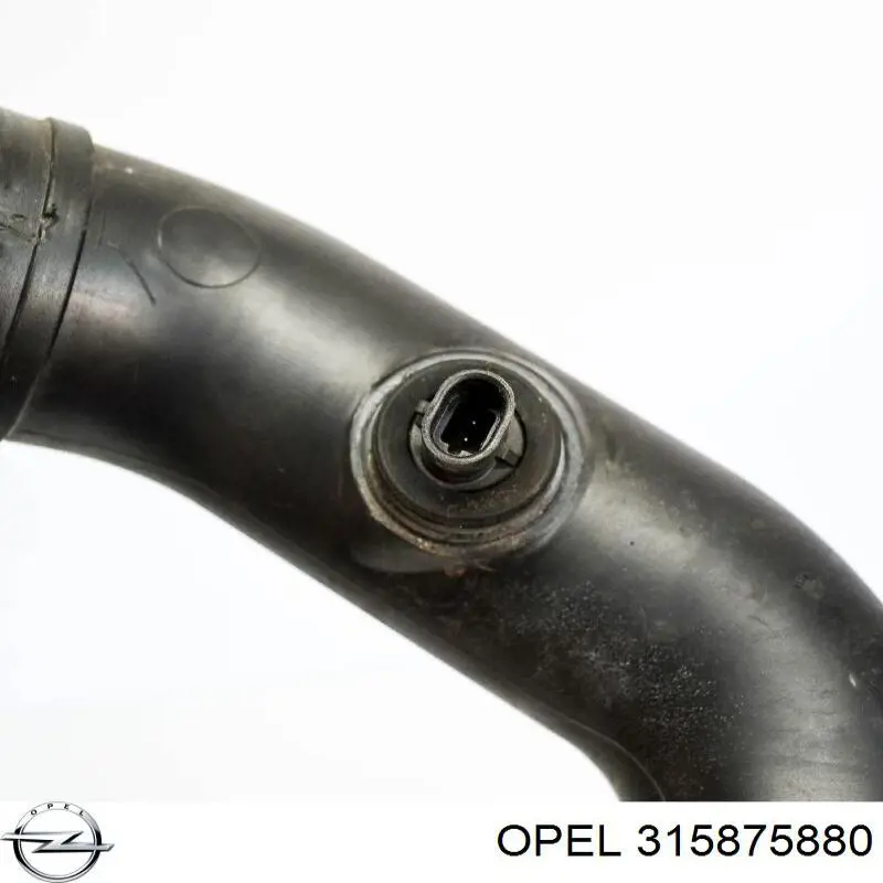  315875880 Opel