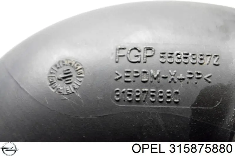 315875880 Opel 