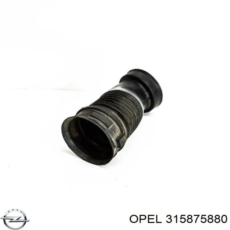  Opel 315875880 preço, a partir de 52,97 USD