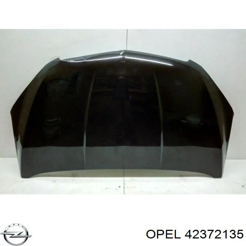 Capota 42372135 General Motors