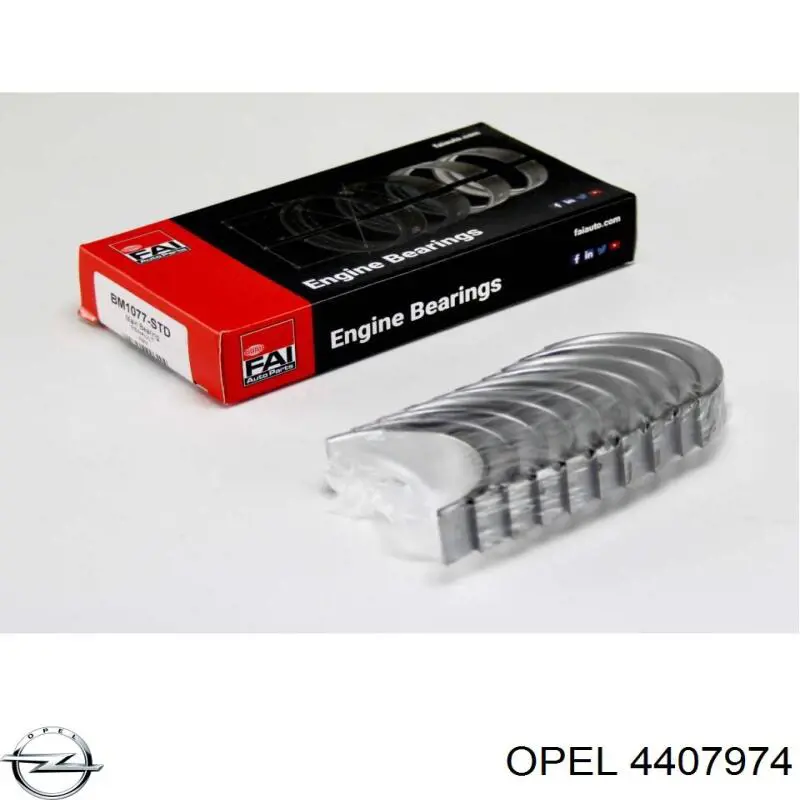 4407974 Opel Folhas inseridas principais de cambota, kit, padrão (STD)