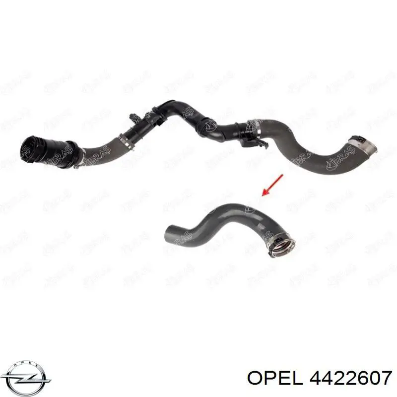 4422607 Opel Mangueira (cano derivado) do sistema de esfriamento
