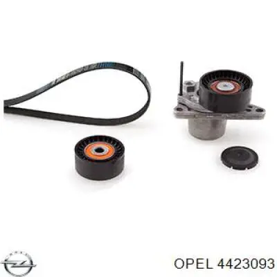 4423093 Opel Correia dos conjuntos de transmissão, kit