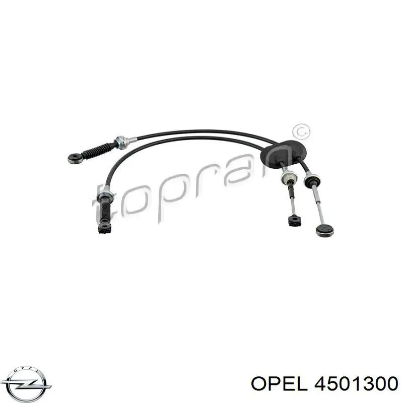 Compre 4501300 Opel Cabo de mudança duplo